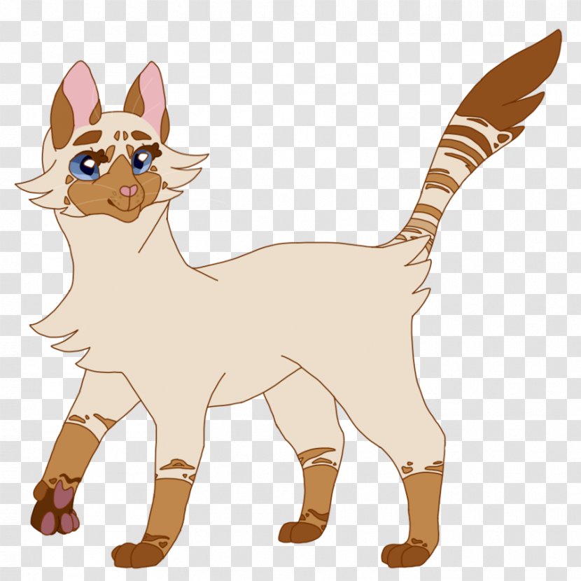 Warriors Balinese Cat Siamese Popular Names - Like Mammal Transparent PNG