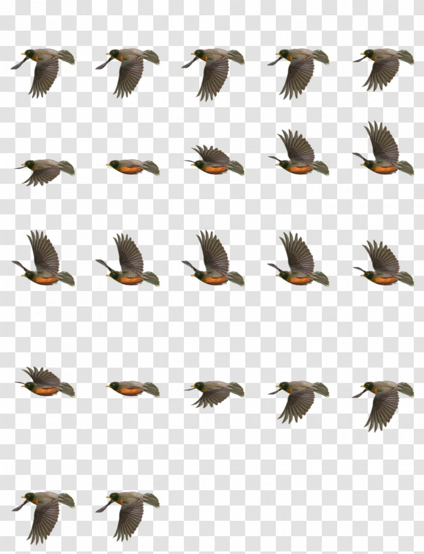 Flip Book Animation Drawing - Bird Migration - Blog Transparent PNG