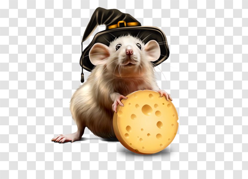 Rat Computer Mouse Centerblog Mus - Fort Boyard Halloween Transparent PNG