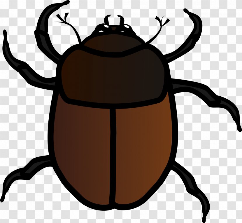 Beetle Drawing Clip Art - Bugs Transparent PNG