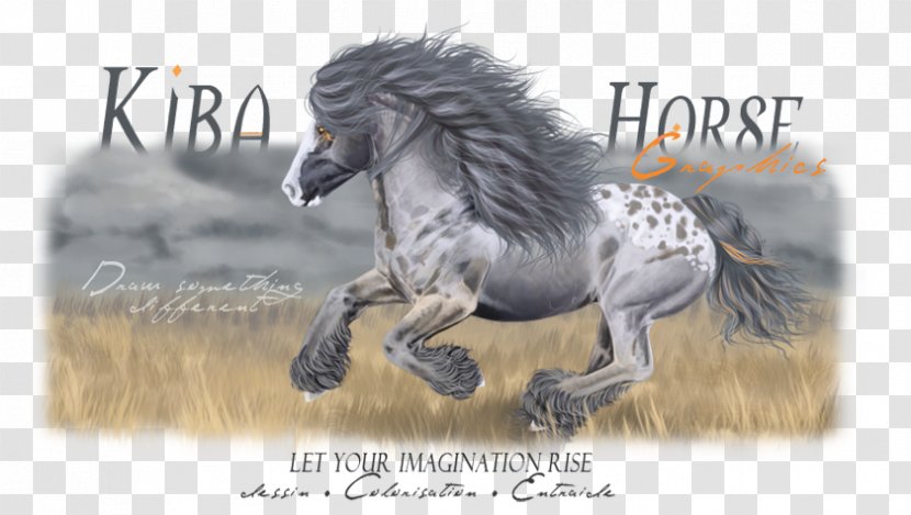 Mustang Stallion Fauna Freikörperkultur Pack Animal - Pony - Kiba Transparent PNG