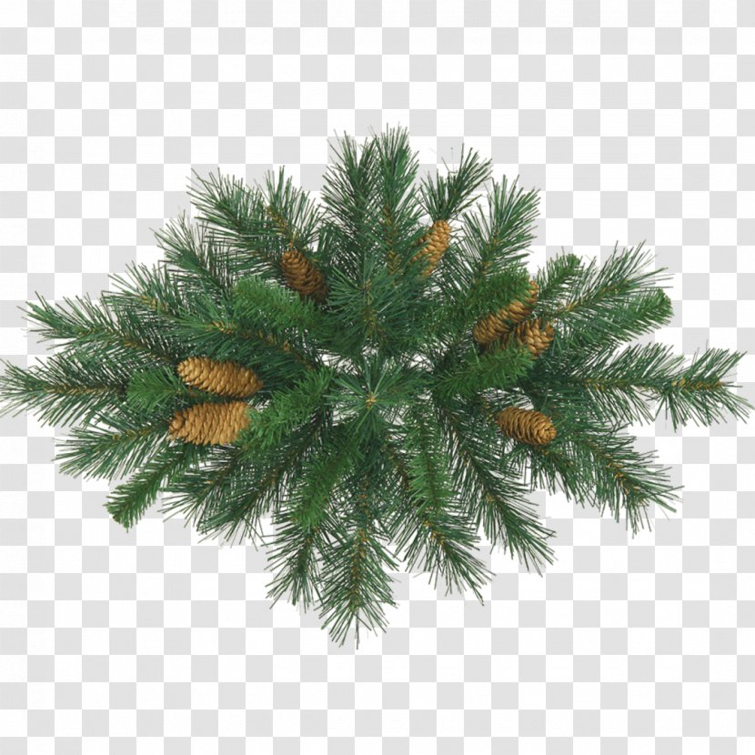 Christmas Tree Flower New Year - Lights - Pine Cone Transparent PNG