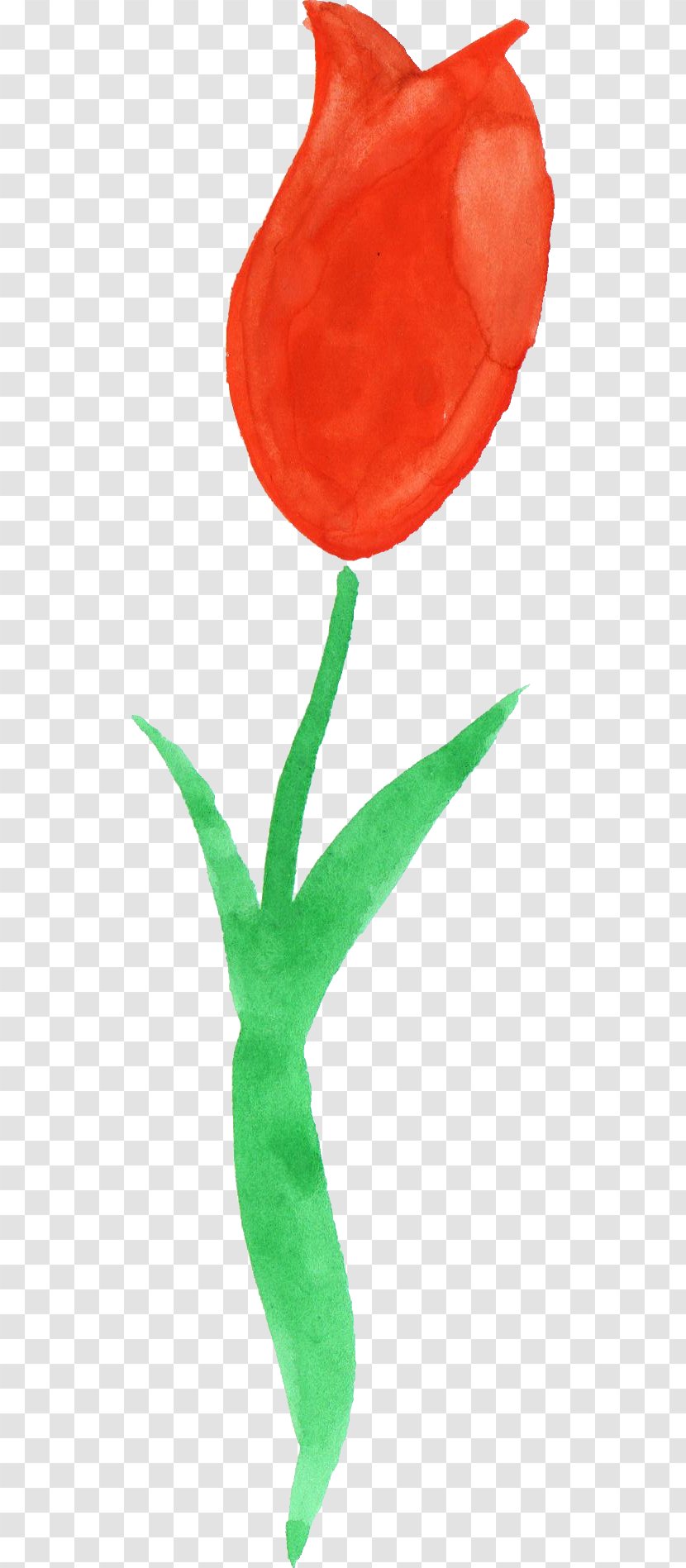 Tulip Watercolor Painting Clip Art - Flower - Tulips Transparent PNG