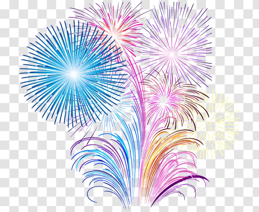 Fireworks Photography Pyrotechnics Transparent PNG