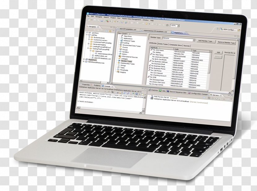 Master Data Management IBM InfoSphere DataStage Computer Software - Netbook Transparent PNG