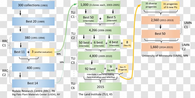 Genomics Genome Plant Breeding Marker-assisted Selection Association Mapping - Brand - Wheatgrass Transparent PNG