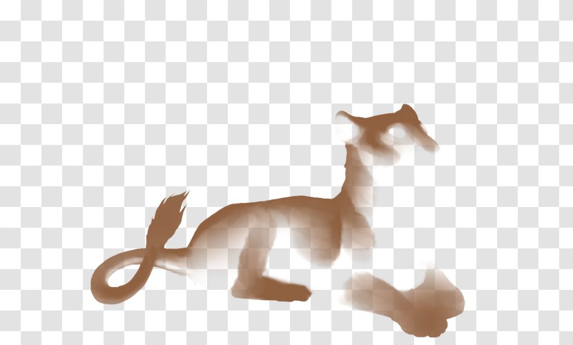 Lion Canidae Quagga Horse Cat - Joint Transparent PNG