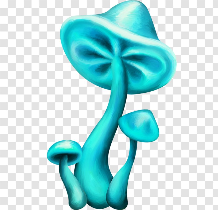 Mushroom Blue Werewere-kokako Fungus Drawing Transparent PNG