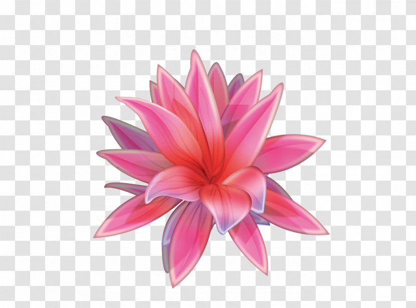 Watercolor Painting Chinese - Flower - Lotus Transparent PNG