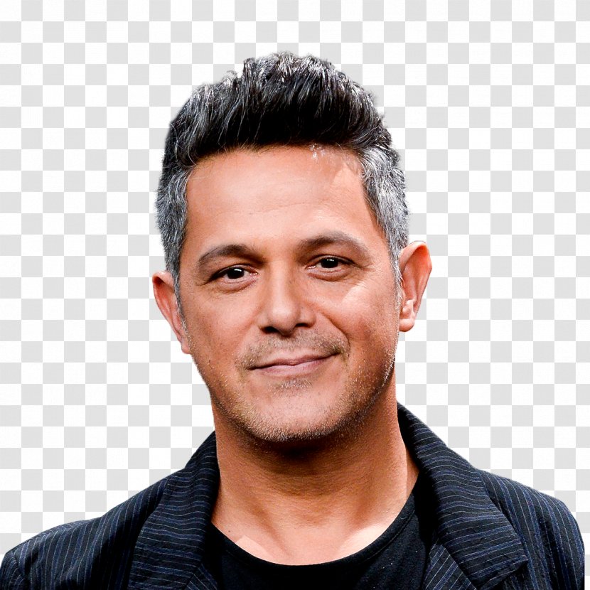 Alejandro Sanz Singer-songwriter Musician Corazon Partio - Silhouette - 52nd Annual Grammy Awards Transparent PNG