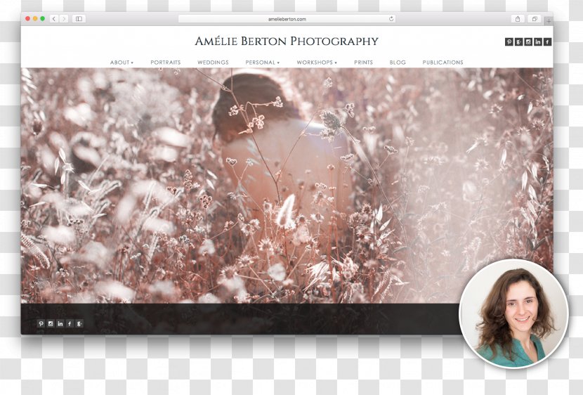Photography Art Screenshot - Flower - Concert Promotion Transparent PNG