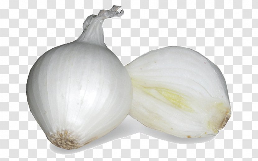 Yellow Onion Garlic Shallots White Pearl Transparent PNG