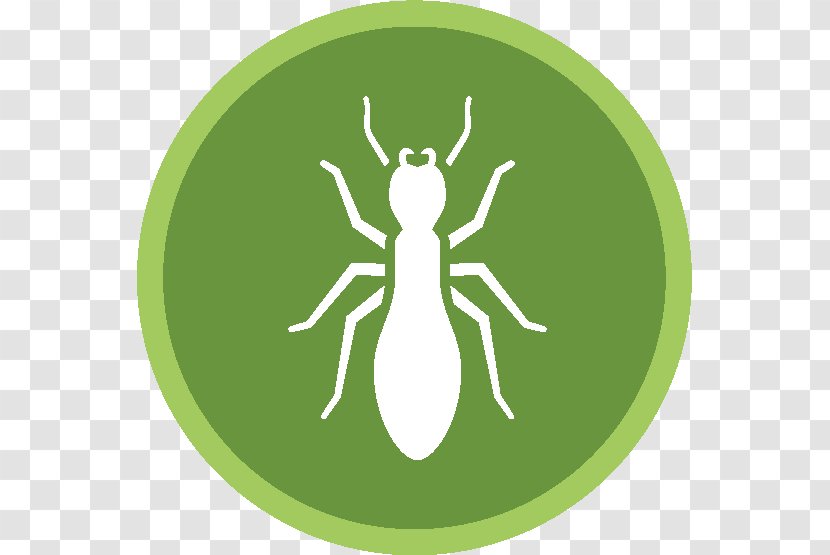 Cockroach Pest Control Exterminator Termite - Logo Transparent PNG