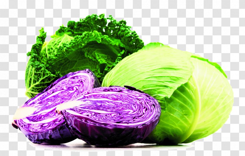 Cabbage Royalty-free Vegetable Photograph Food - Wild Transparent PNG
