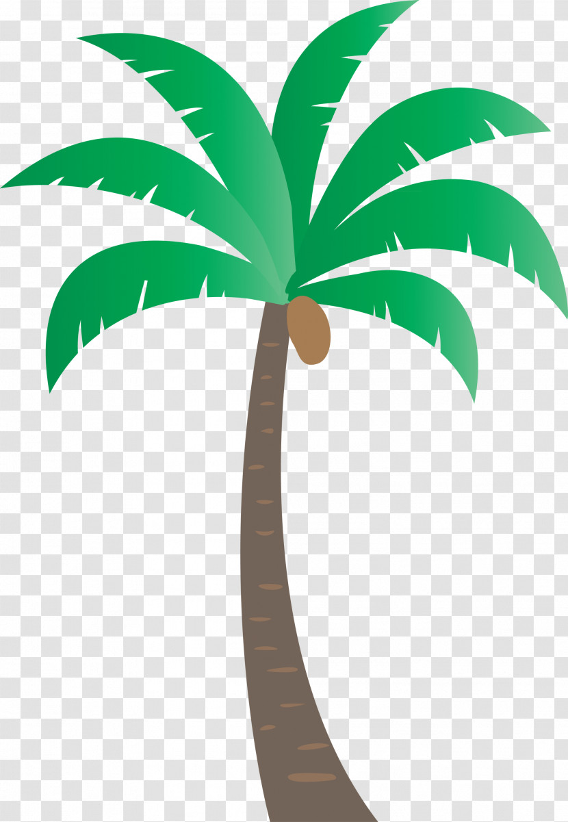 Palm Trees Transparent PNG