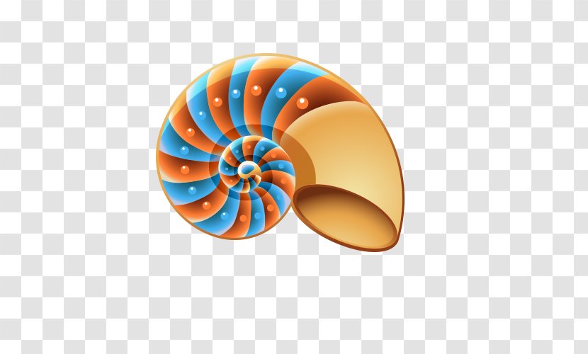 Seashell Mollusc Shell Clip Art - Invertebrate - Conch Transparent PNG