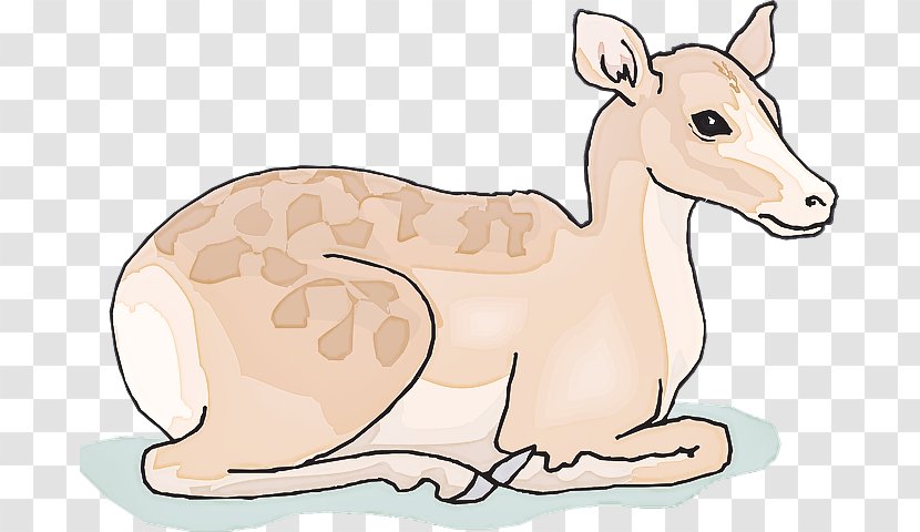 Clip Art Cartoon Wildlife Animal Figure Terrestrial - Tail Fawn Transparent PNG
