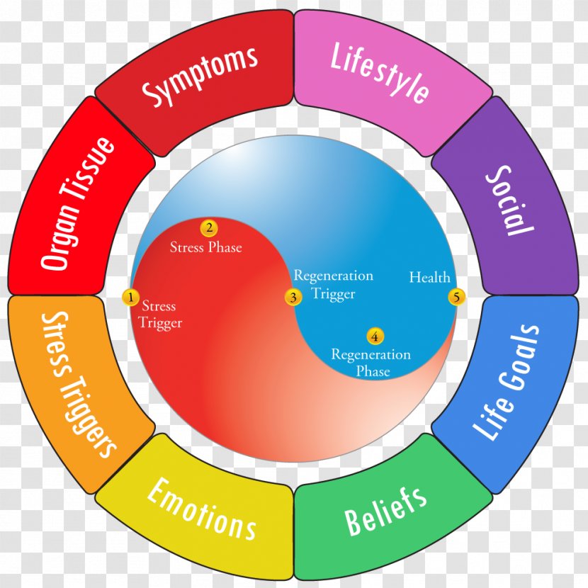 Medical Prescription Lifestyle Prescriptions University Health Professional - Area - Funny Stress Management Sheet Transparent PNG