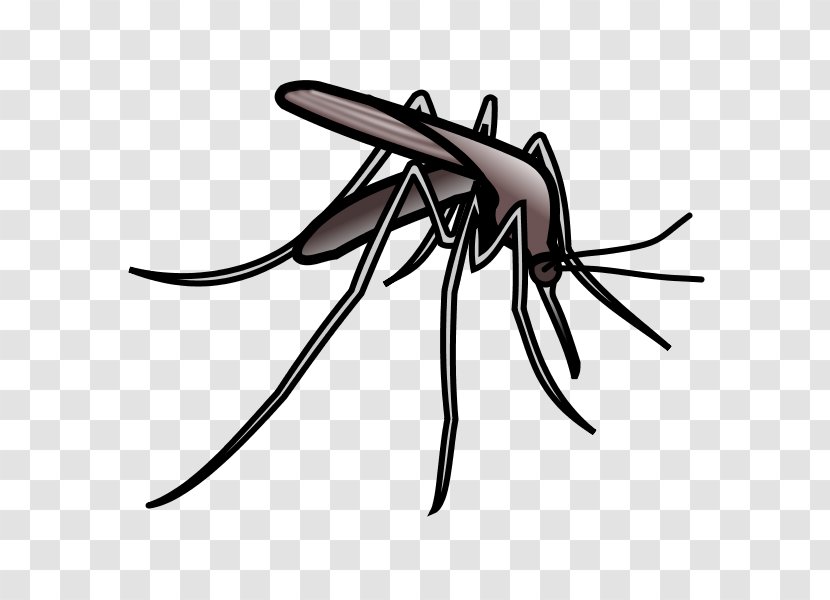 Mosquito Web Browser Clip Art - Artwork Transparent PNG