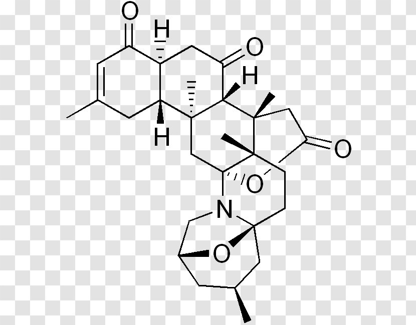 Amino Acid Alkaloid Biochemistry - Symmetry - Chemistry Transparent PNG