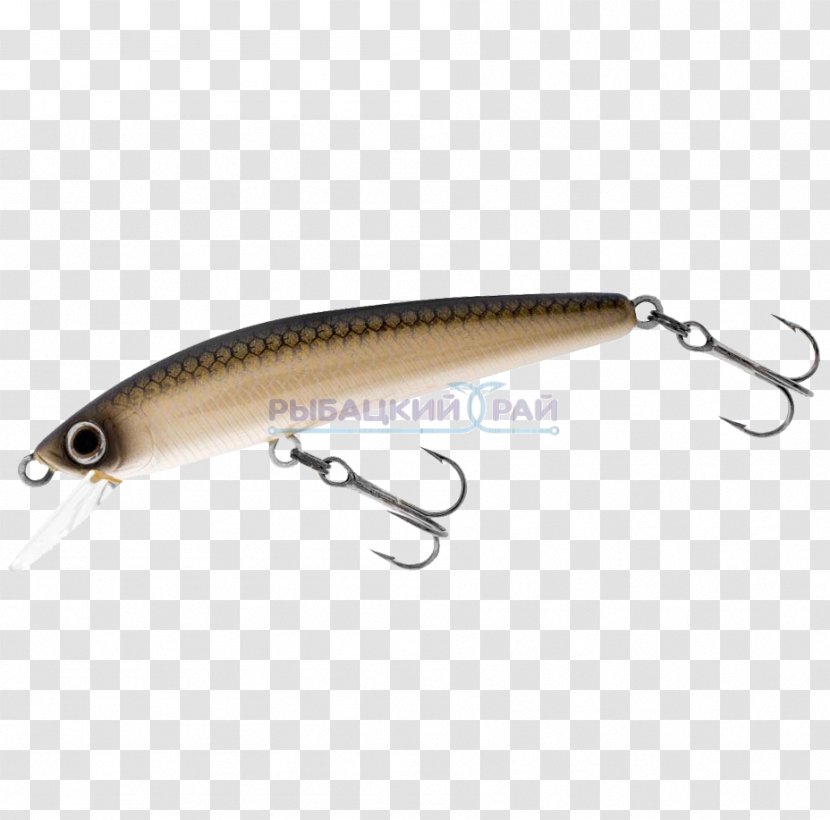 Spoon Lure Fish AC Power Plugs And Sockets - Minnow Transparent PNG