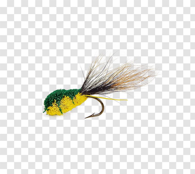 Frog Lithobates Clamitans Insect Holly Flies Product - Fly Fishing Transparent PNG