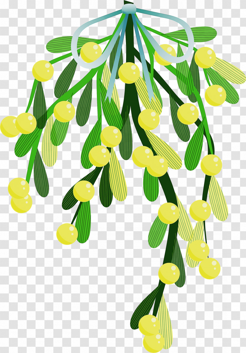 Plant Flower Leaf Tree Plant Stem Transparent PNG