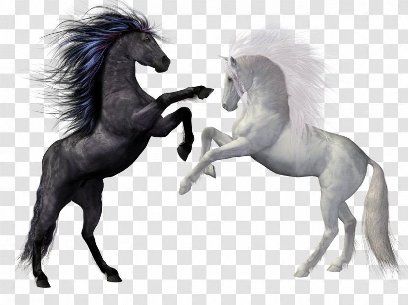 Horse Rearing Stallion Equestrian Unicorn - Mustang Transparent PNG