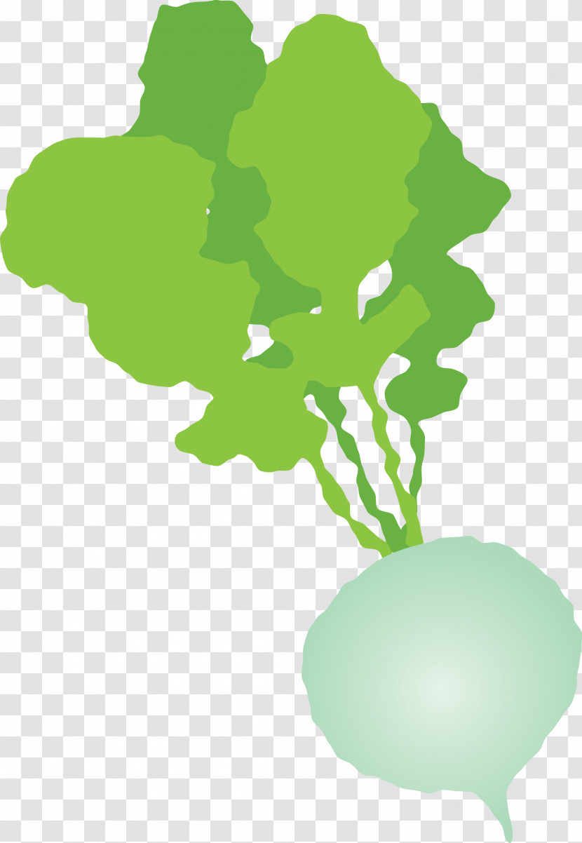 Radish Transparent PNG