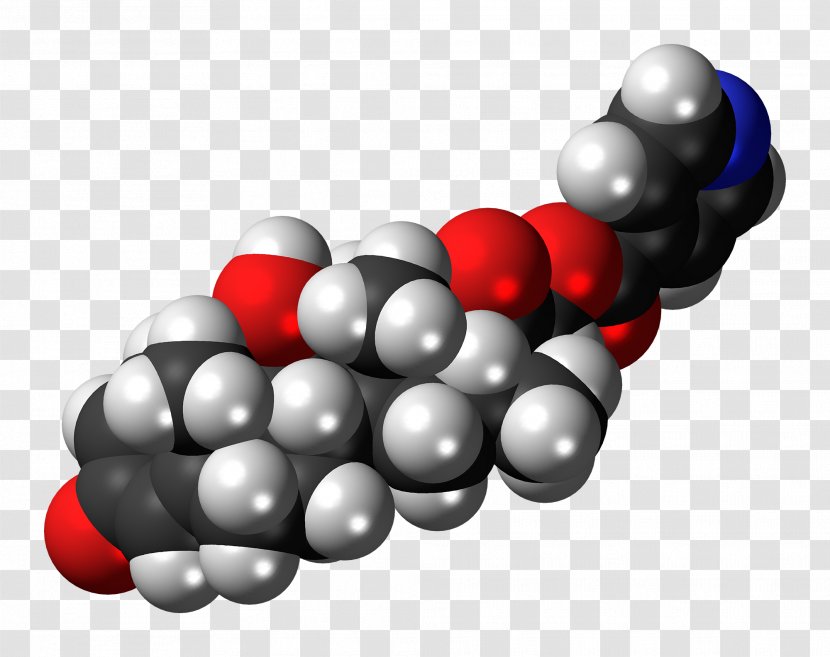 Lyme Disease Therapy Prolactin Symptom E. Coli - Bacteria - Sphere Transparent PNG