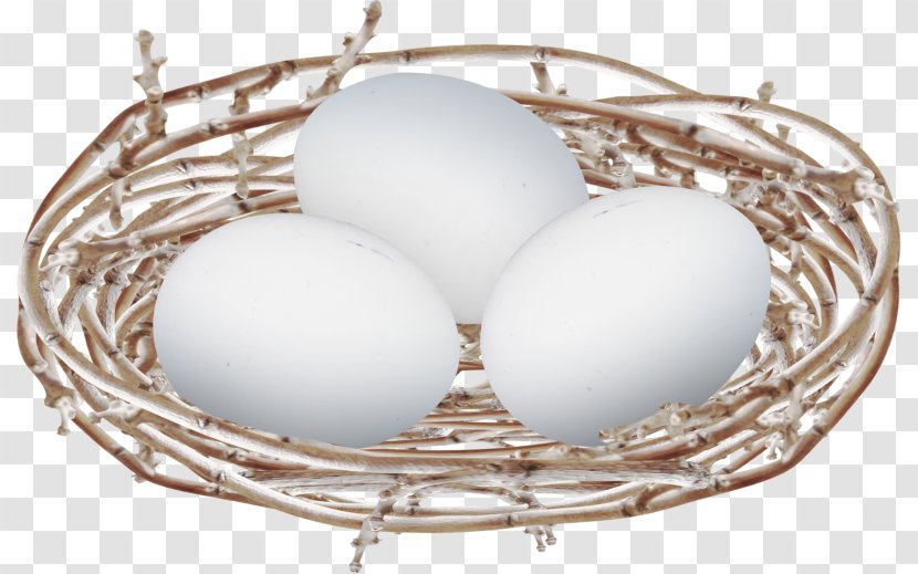 Edible Bird's Nest Egg Bird - S Transparent PNG