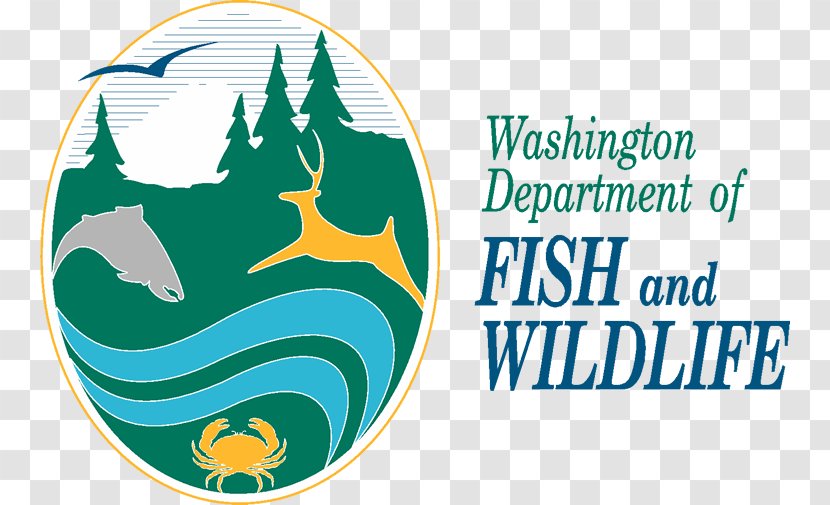 Washington Department Of Fish & Wildlife United States And Service Hunting White-nose Syndrome - Brand - Biologist Transparent PNG