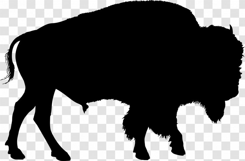 American Bison Drawing Clip Art Transparent PNG