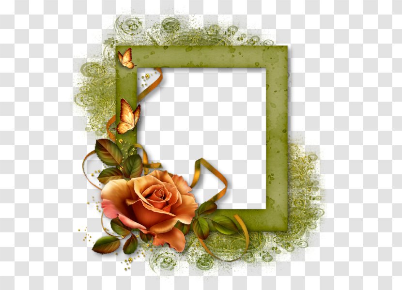 Picture Frame - Floral Design Rose Family Transparent PNG