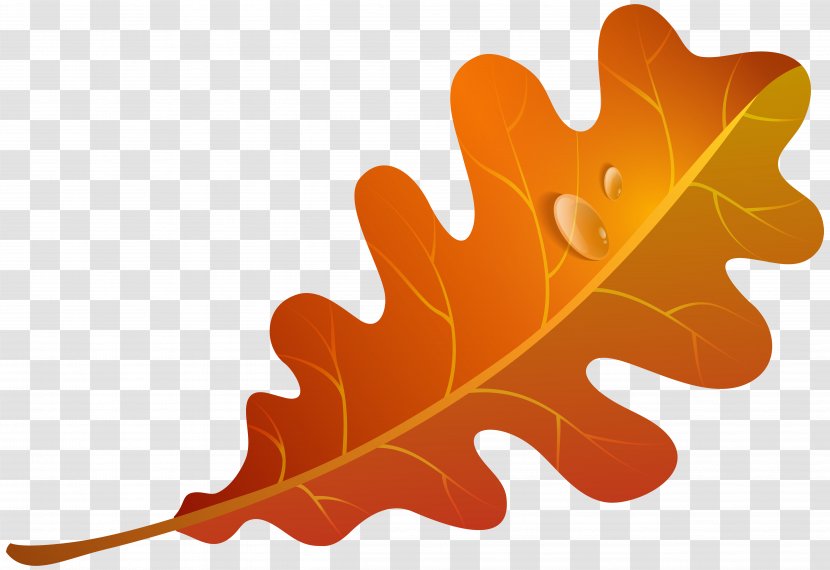 Orange Leaf Frozen Yogurt Autumn Color Clip Art - Tree - Fall Transparent PNG