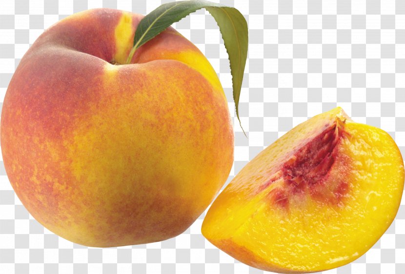 Peach Fruit Apple - Apricot Transparent PNG