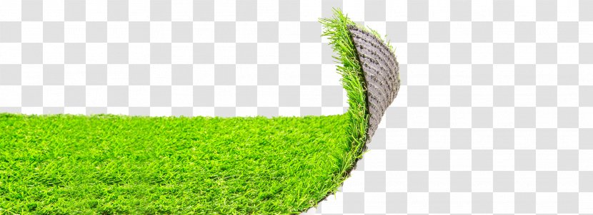 Lawn Artificial Turf Garden Meadow Carpet Transparent PNG