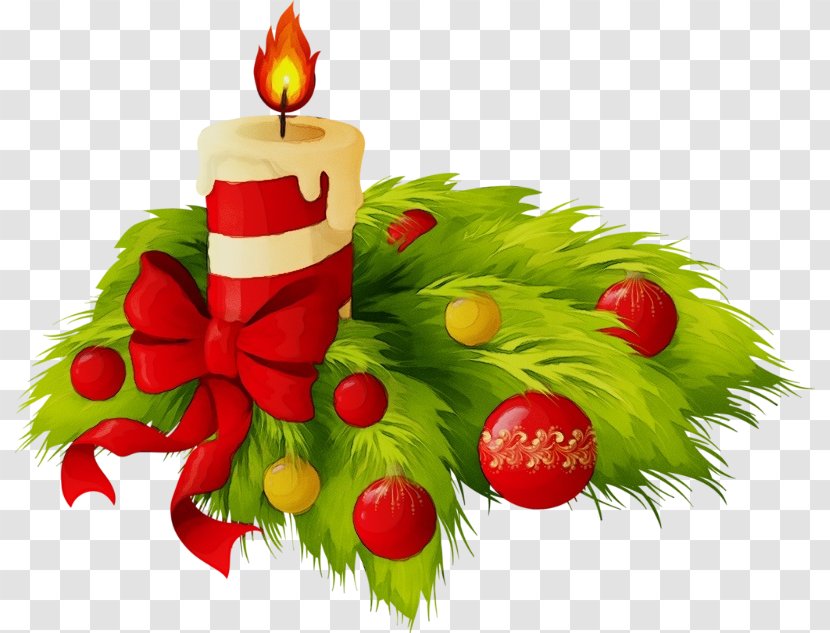 Christmas Decoration Cartoon - Floral Design - Pine Family Transparent PNG
