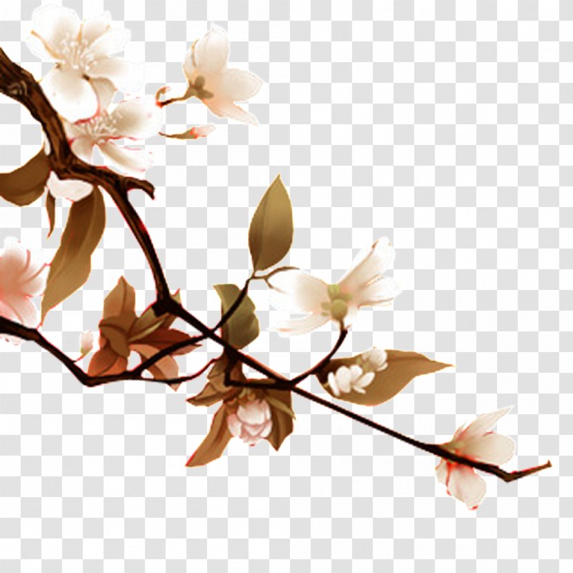 Peach Illustration - Designer - Pear In Full Bloom Transparent PNG