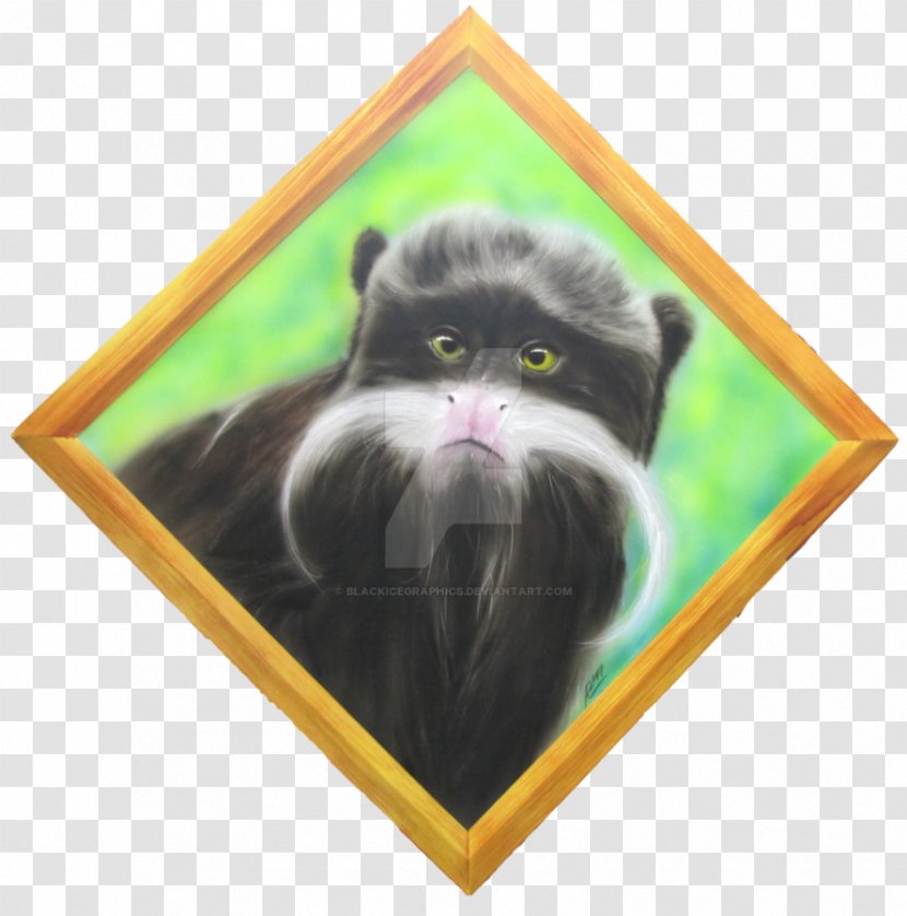 Whiskers Kitten Black Cat Horse Emperor Tamarin - Snout Transparent PNG