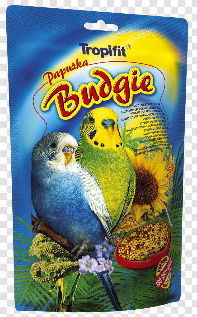Budgerigar Cockatiel Bird Food Red Factor Canary Transparent PNG
