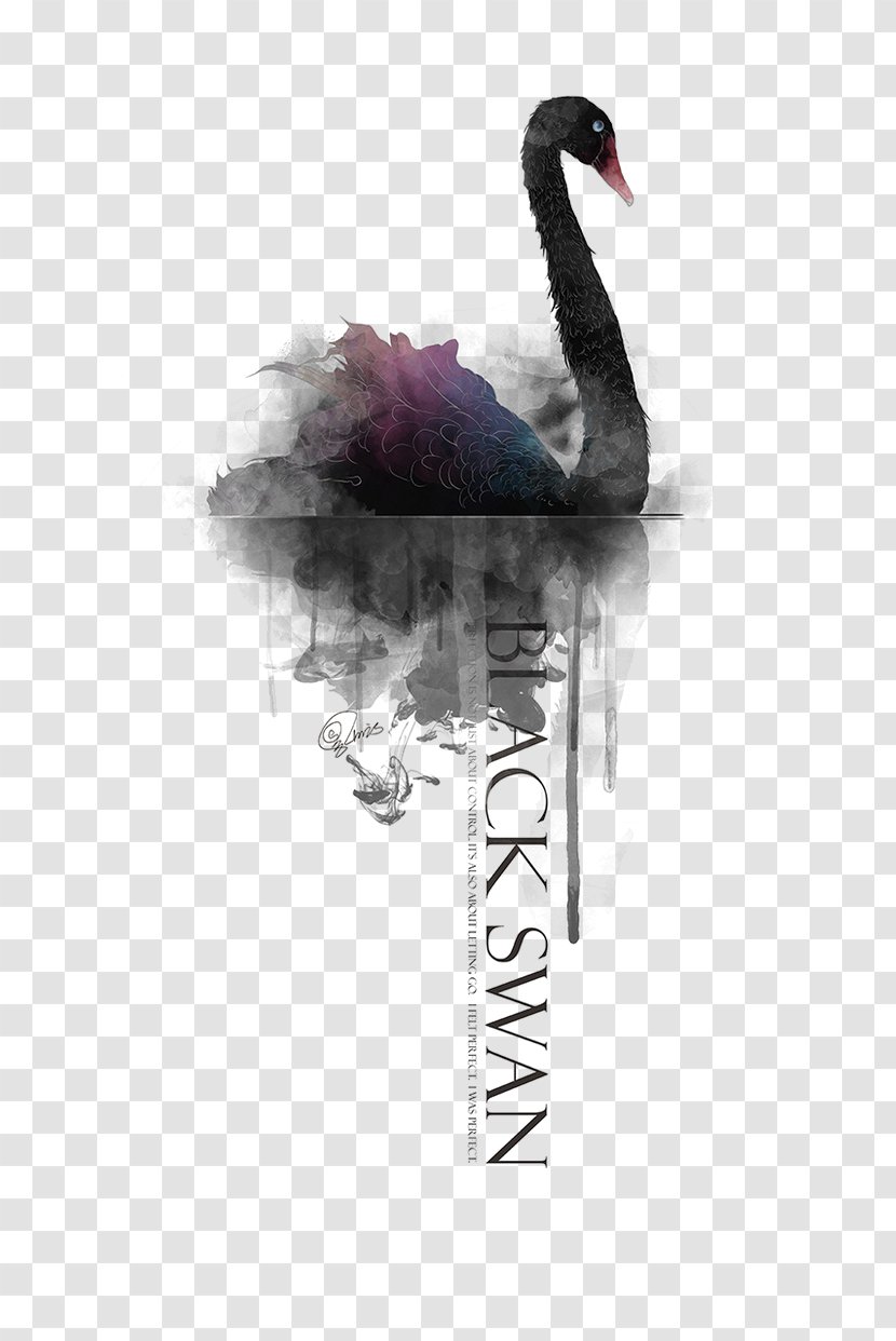Black Swan Poster - Pixel - Hand Painted Transparent PNG
