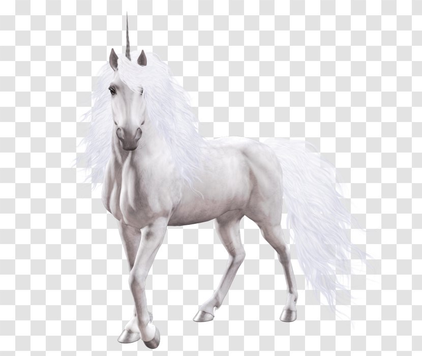 Unicorn Horse Psychology Pegasus Mythology - Text Transparent PNG