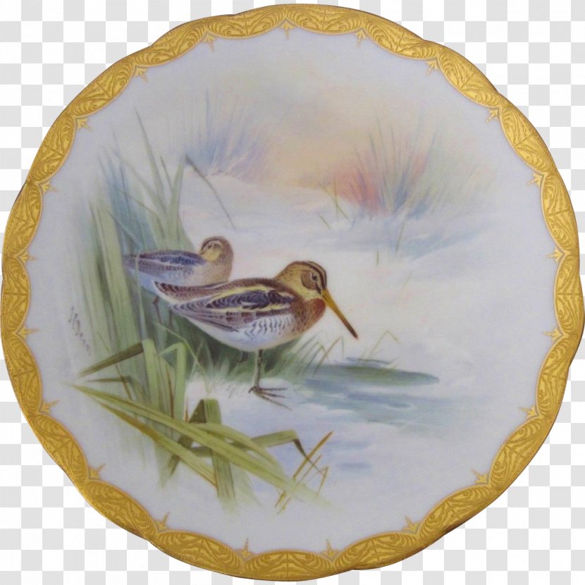 Duck Bird Tableware Platter Anatidae - Hand-painted Birds Transparent PNG