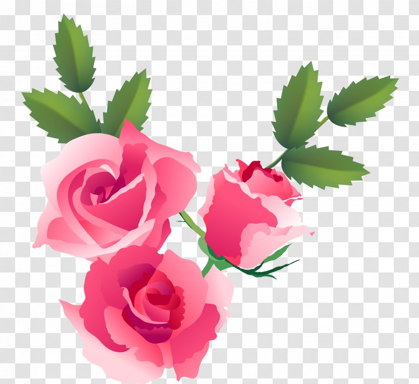 The Poetical Language Of Flowers; Or Pilgrimage Love Floral Design Fototapeta Drawing - Rosa Centifolia - Roses Transparent PNG