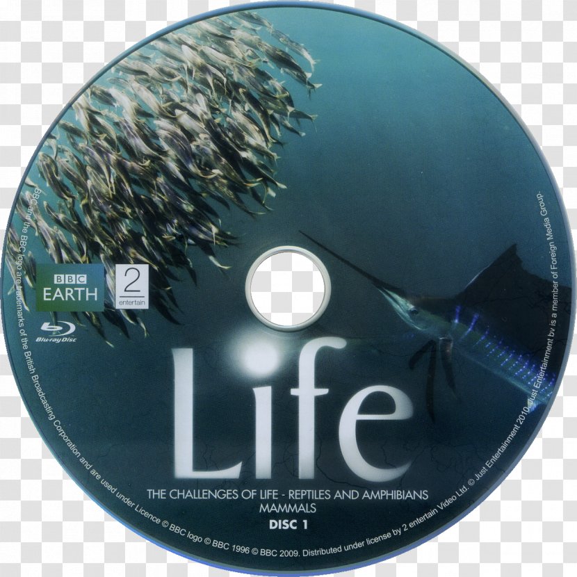 BBC Earth Documentary Film Atlantic Sailfish Compact Disc Discovery Channel - Life Transparent PNG