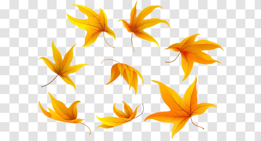 Autumn Clip Art - Yellow - Flower Transparent PNG