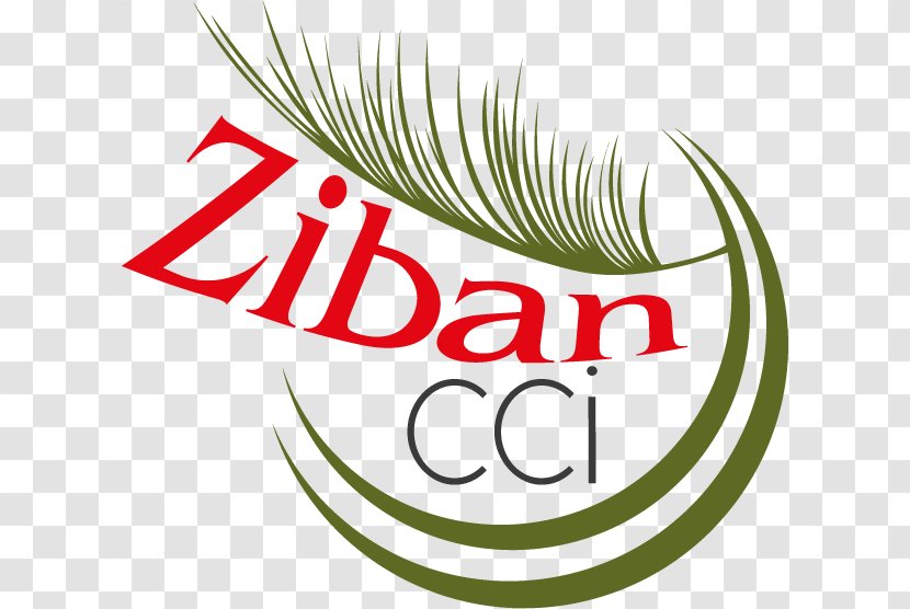 Zibans Direction Du Commerce Chamber Of Trade Industry - Dates Transparent PNG