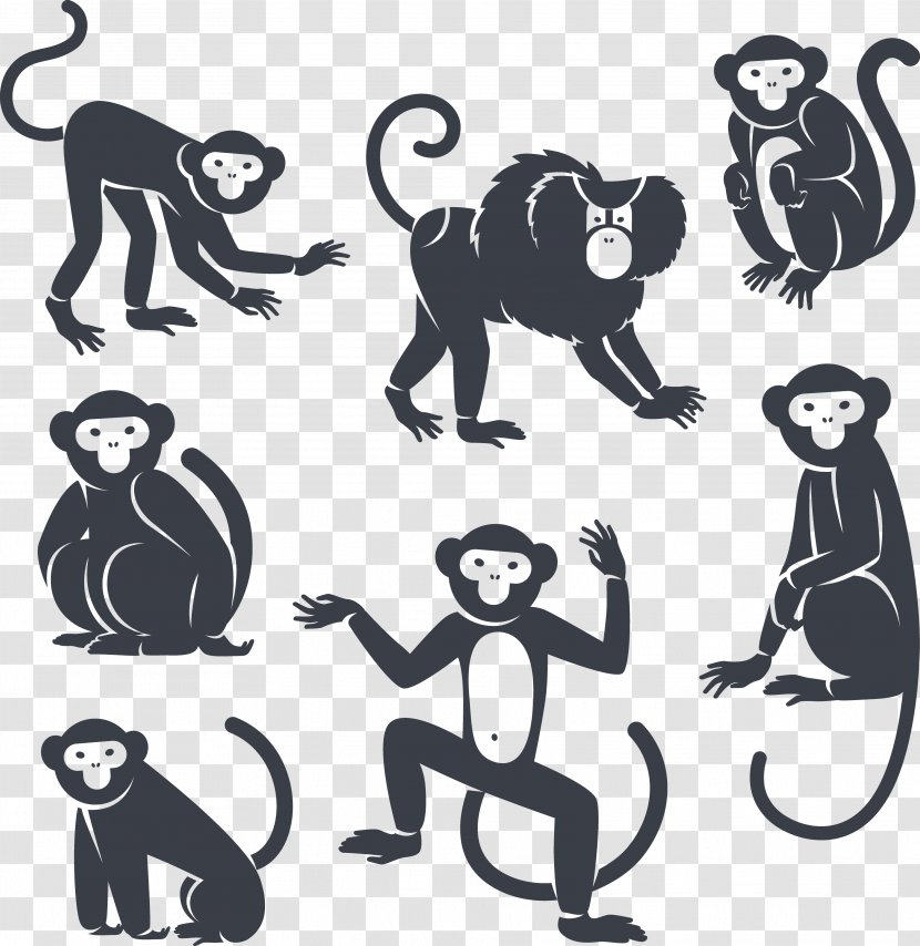 Monkey Royalty-free Marmoset - Primate Transparent PNG