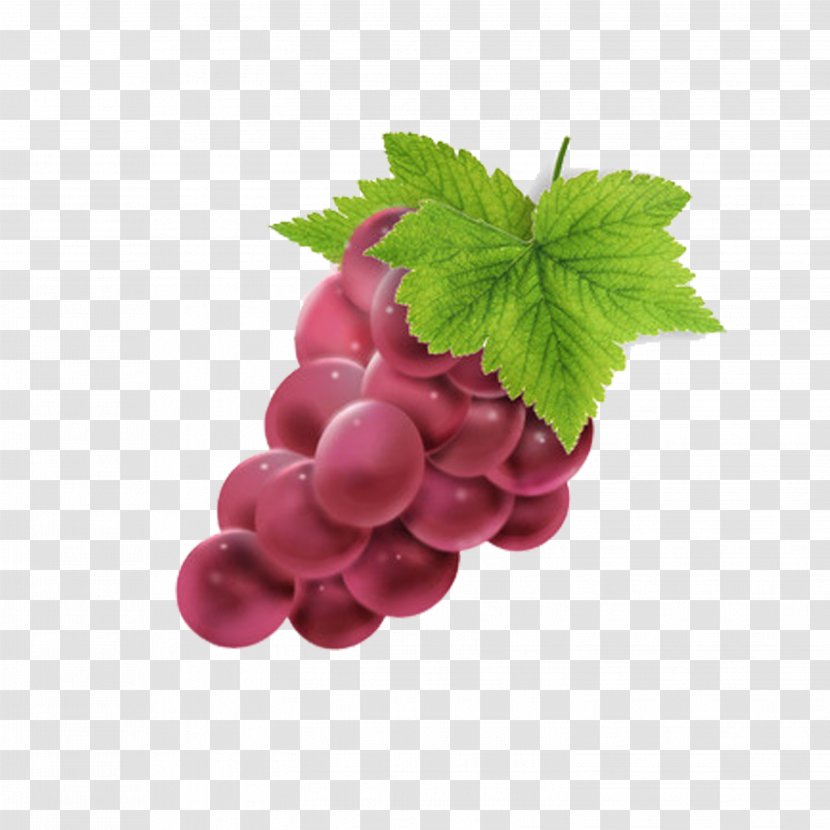 Grape Berry Seedless Fruit - Frutti Di Bosco Transparent PNG